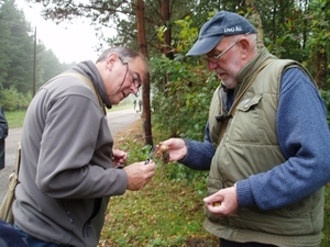 paddenstoelen 031