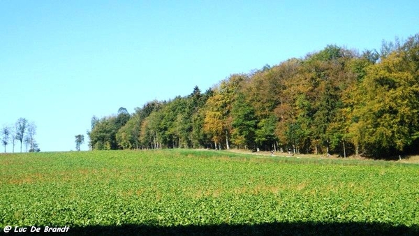 wandeling marche Adeps Anthe