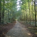 2011-10-16 KKT verkenning Holsbeek 001