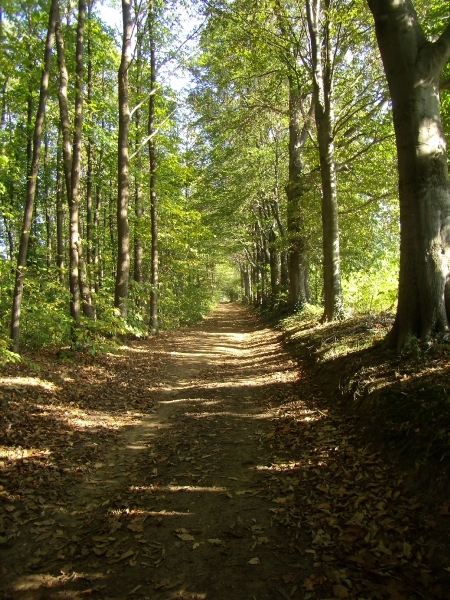 2011-10-16 KKT verkenning Holsbeek 007