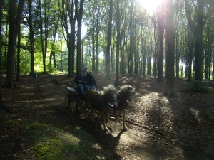 2011-10-16 KKT verkenning Holsbeek 019