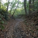 2011-10-16 KKT verkenning Holsbeek 028