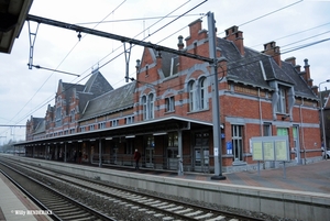 LIJN12 FES 20141128 (2)