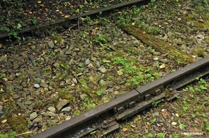 LIJN126 BARSE 20160721 (9D) VERWERING SPOOR