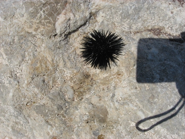 Griekenland 2011 162