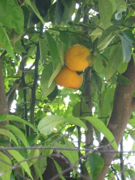 Griekenland 2011 230