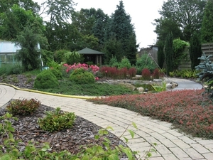 tuin 2011