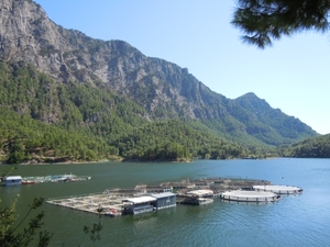 DSCN0817