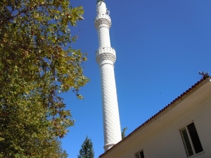 DSCN0822