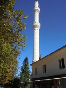 DSCN0824