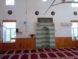 DSCN0831