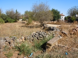 DSCN0835