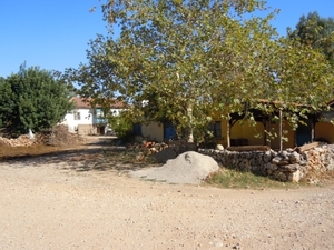 DSCN0837