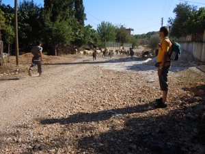 DSCN0842