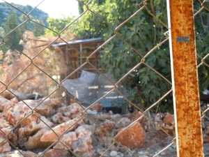 DSCN0854