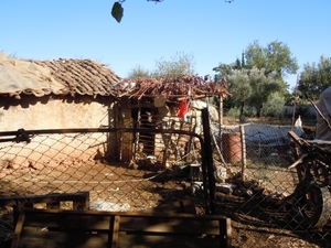 DSCN0866