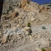 DSCN0901