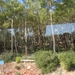 DSCN0904