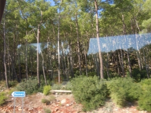 DSCN0904