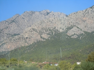 DSCN0911