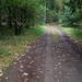't begint , de herfst is duidelijk aanwezig