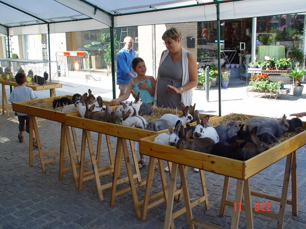 Overijse 11-06-2006 004