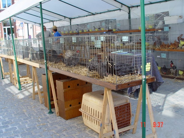 Overijse 11-06-2006 008