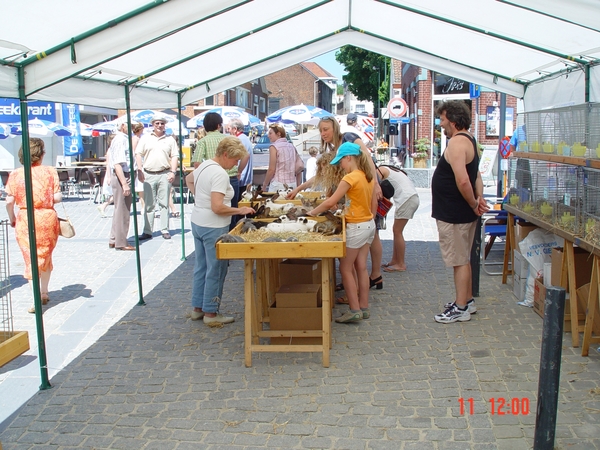 Overijse 11-06-2006 034