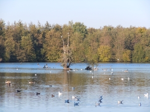 DSCN0912