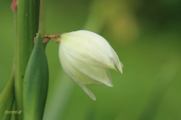 sized_Kopie van Afbeelding 021