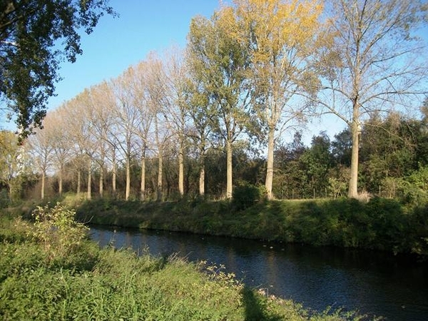 096-Afleidingskanaal v.d.Leie