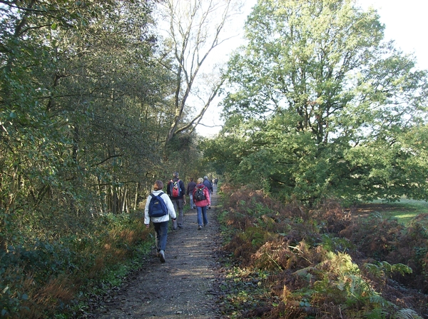 Lokeren Molsbroektochten Oktober 2011 024