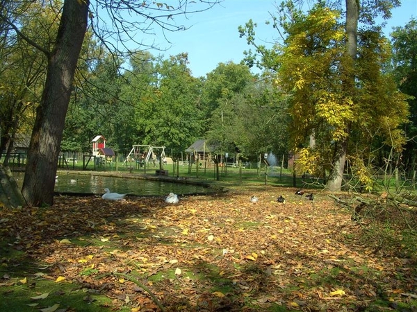 20110925.Overmere 038 (Medium)