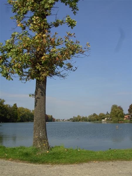 20110925.Overmere 064 (Medium)