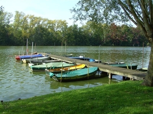 20110925.Overmere 071 (Medium)