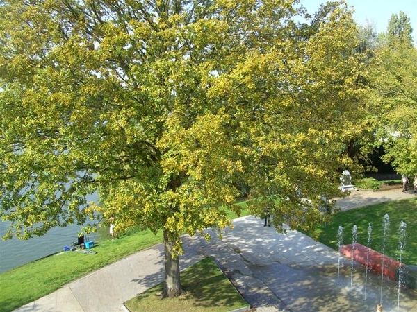 20110925.Overmere 074 (Medium)