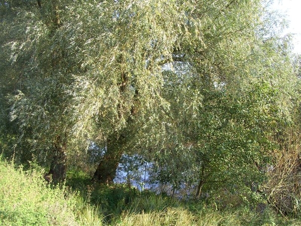 20111023.Molsbroek enPark(Lokeren) 002 (Medium)