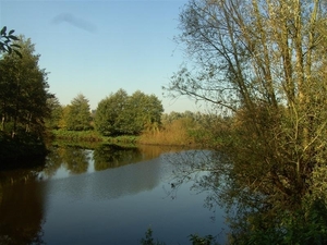 20111023.Molsbroek enPark(Lokeren) 009 (Medium)