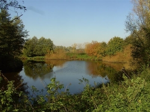 20111023.Molsbroek enPark(Lokeren) 010 (Medium)