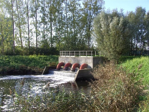 20111023.Molsbroek enPark(Lokeren) 011 (Medium)