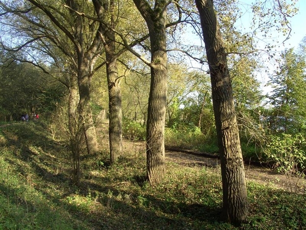 20111023.Molsbroek enPark(Lokeren) 016 (Medium)