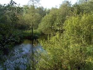 20111023.Molsbroek enPark(Lokeren) 017 (Medium)