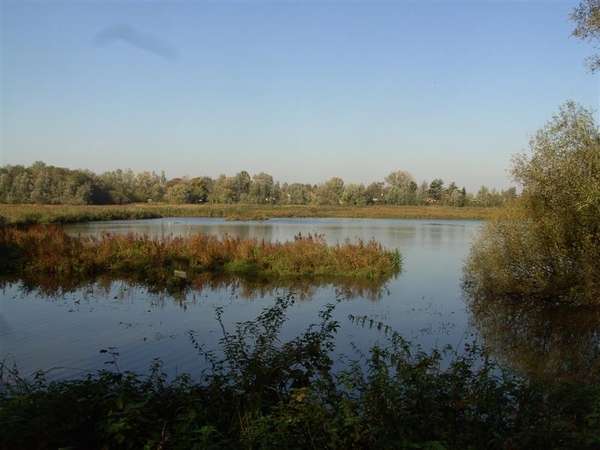 20111023.Molsbroek enPark(Lokeren) 023 (Medium)