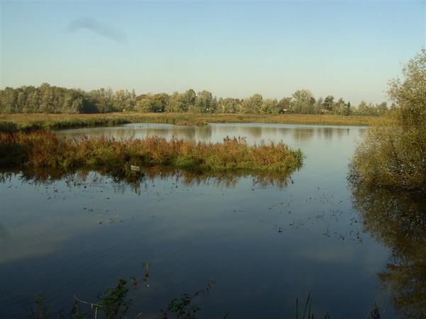 20111023.Molsbroek enPark(Lokeren) 024 (Medium)