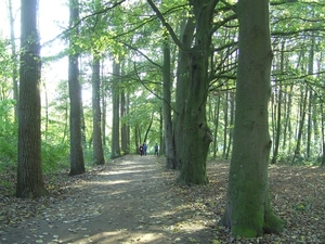 20111023.Molsbroek enPark(Lokeren) 046 (Medium)