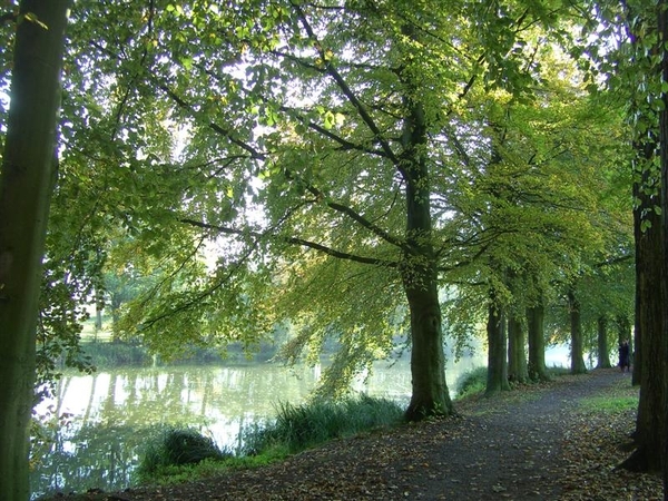 20111023.Molsbroek enPark(Lokeren) 048 (Medium)