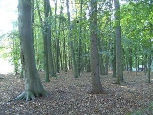 20111023.Molsbroek enPark(Lokeren) 049 (Medium)