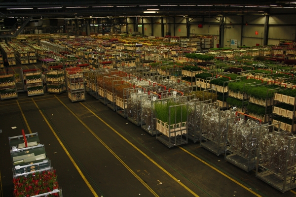 Kind & Gezin NL 03-06-10-2011 (225)