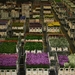 Kind & Gezin NL 03-06-10-2011 (226)