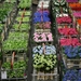 Kind & Gezin NL 03-06-10-2011 (244)
